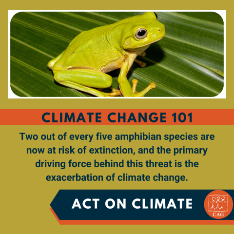 Climate Change - Risk of extinction of amphibian species | Climate